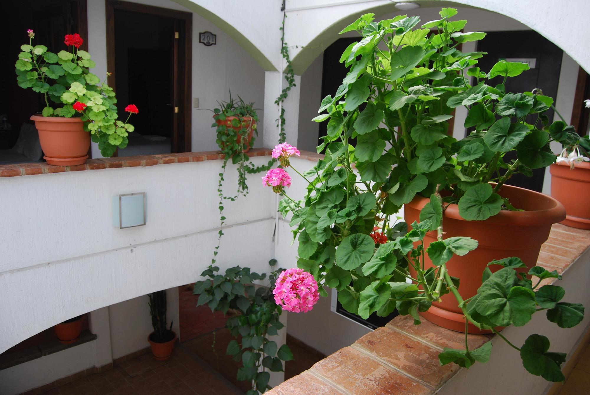 Jardines De Luz Hotel San Cristóbal de Las Casas Exterior foto